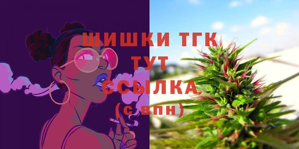 герыч Каменногорск