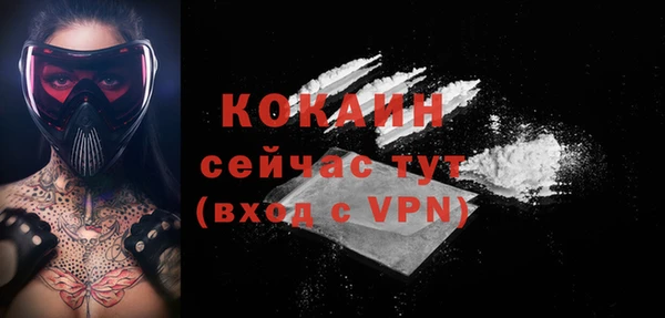 спиды Каменка