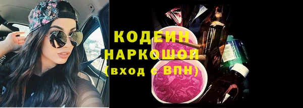 спиды Каменка