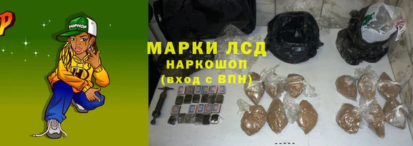 герыч Каменногорск