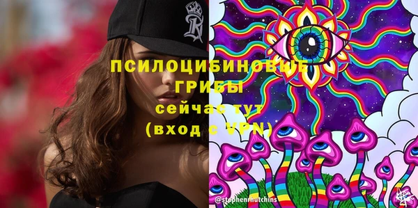 стаф Рославль